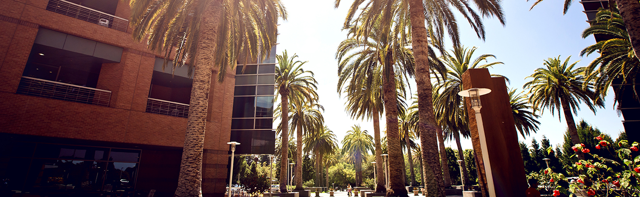 Hotel outdoor